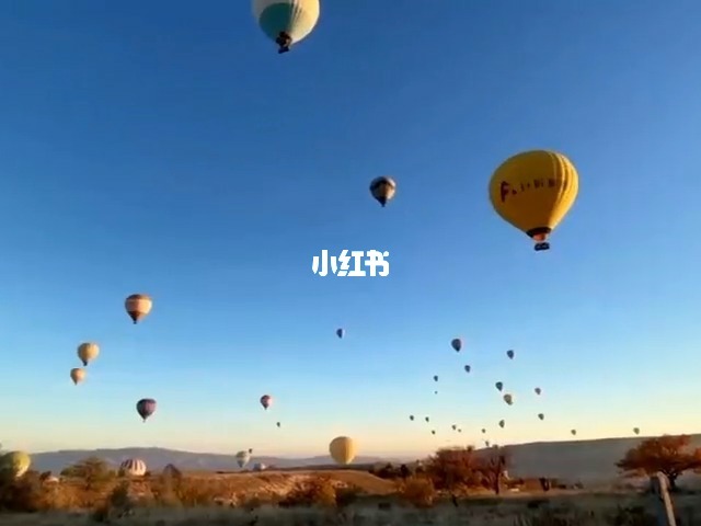 {賭馬}(你说过带我去飞行在热气球里)